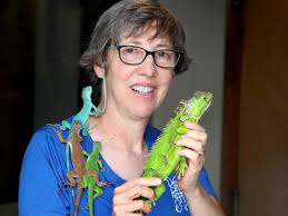 Even though iguanas are