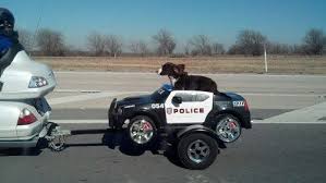 He Dreams Of Being A Police Dog Motorcycle Trailer Cop Dog Pull Behind Motorcycle Trailer