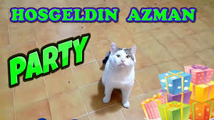 Kedimiz Azman Eve Hosgeldin Partisi Kedi