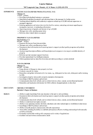 tax examiner resume samples velvet jobs