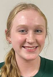 Girls volleyball: Times-News District 10 and Region All-Star teams