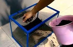 Check spelling or type a new query. Cara Menanam Moss Di Pasir Malang Dan Perawatannya Ilmubudidaya Com
