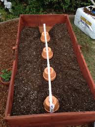 Self Watering Olla System Garden Irrigation Raised Garden Beds Raised Garden