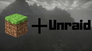B) if i see it using 1.14.4 client, it shows as a server with 0/20 connections. Minecraft Server Auf Unraid Installieren Technoy De