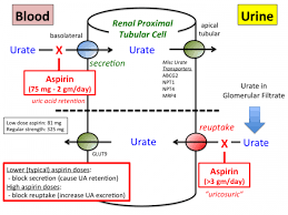 Antiplatelet Drugs Tusom Pharmwiki