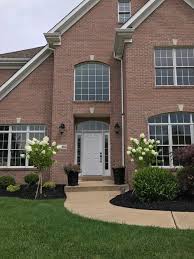 We did not find results for: Pink Brick Help