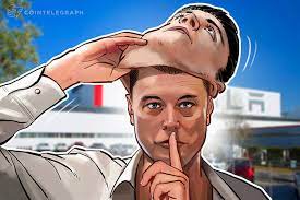 Before any trolling on this article and topic starts, i have to say that all statements made below are my both own personal opinion and result of my. Elon Musk I Am Not Bitcoin Inventor Satoshi Nakamoto