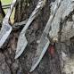 Beginner Bladesmithing: Seahorse Knives