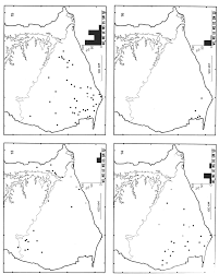 Image result for Monanthotaxis afra
