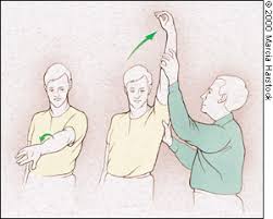 Image result for Shoulder Apprehension Test