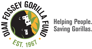 The digit fund was created by dr. Dian Fossey Gorilla Fund International