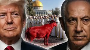 I Go to the Rock (Matt and Joy Barnett)