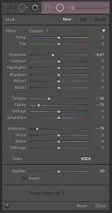 Blurring background in lightroom is useful for many reasons. How To Blur Background In Lightroom 3 Different Methods Pretty Presets For Lightroom