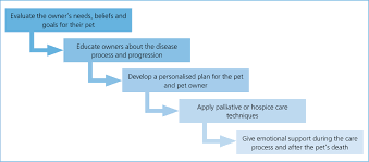 Supporting Quality Of Life In Feline Patients With Chronic Kidney Disease The Veterinary Nurse