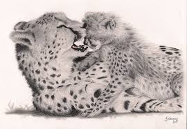 It shows the image of a baby cheetah standing near his mother with his gaze fixed upon her. Cute Baby Cheetah Drawings Novocom Top