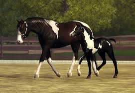 Participate in multiplayer treasure hunts and stop for photography of the scenery and wildlife. Lakeside Ranch News Sims Pets The Sims 3 Pets Sims 3 Horse Cc