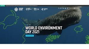 For this world environment day 2021, the unep (united nations environment programme) have published a however you choose to get involved for world environment day, you can share your efforts on social media using the hashtags #generationrestoration and #worldenvironmentday. Bggtwnsrps8 Fm