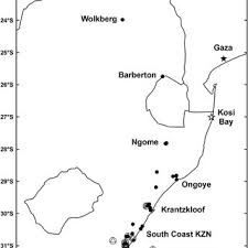 Image result for Memecylon rovumense