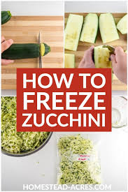 Drain out the water and lay the zucchini on a work surface. How To Freeze Zucchini With Or Without Blanching Homestead Acres