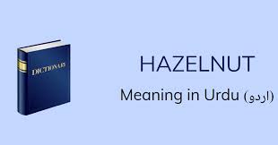 Hazelnut Meaning In Urdu Hazelnut Definition English To Urdu