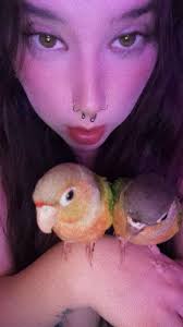 Good morning I know this is for Quakers , but I own a cute conure and I am  wondering what kind of leash or diapers would You guys recommend for them ?