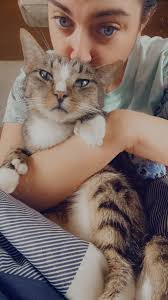 Stray Dog Care in Barnwell County, SC