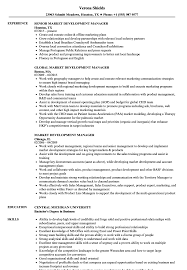 Market Development Manager Resume Samples Velvet Jobs