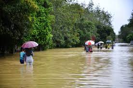 Banjir adalah satu bencana alam yang berlaku disebabkan oleh faktor klimatologi atau faktor. Pasir Mas Paling Terjejas Mangsa Banjir Di Kelantan Terus Meningkat Utusan Digital