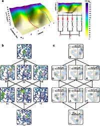 Carlos acevedo statistics played in santos. Pervasive Cooperative Mutational Effects On Multiple Catalytic Enzyme Traits Emerge Via Long Range Conformational Dynamics Biorxiv