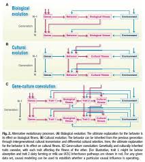 Language Evolution And Levels Of Explanation Replicated Typo