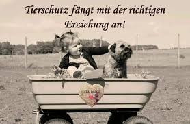 Im besten fall ergänzen sich die einzelnen wann ein kind am besten schläft und wie lange, das weiß das kind jedoch naturgemäß selbst. Facebook