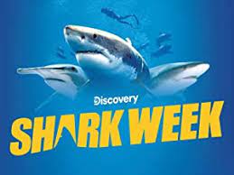 Maybe you would like to learn more about one of these? Watch Shark Week 2021 D Trailer Season 1 Prime Video
