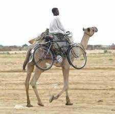 Once more you open the door. Pin On Bicycles