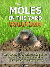 How to remove yard moles. The Moles In The Yard Solution How To Get Rid Of Moles And Gophers In Your Yard The Fast Easy And Organic Way Kindle Edition By Ochs J Crafts Hobbies