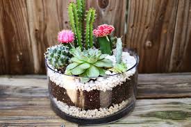 Kimisty 10 inch mid century round succulent planter bowl with rose gold stand, white ceramic pot with drainage, succulent garden shallow pot, tabletop center piece, includes decorative white pebbles. Planting A Simple Cacti Garden A Beautiful Mess