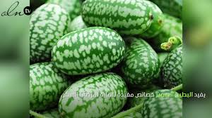 شرب السجائر في المنام ودلالة التدخين لأكثر من عالم. Ø§Ù„Ø¨Ø·ÙŠØ® Ø§Ù„ØµØºÙŠØ± ÙÙˆØ§Ø¦Ø¯ Ø¹Ø¯ÙŠØ¯Ø© ÙˆØ·Ø¹Ù… Ù„Ø°ÙŠØ° Youtube
