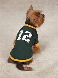 12 Aaron Rodgers Packers Casual Canine Game Day Dog Jersey Sizes Xxs Xl Casualcanine Dog Jersey Dog Sports Jersey Cute Dog Clothes