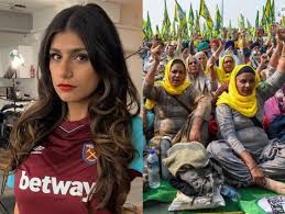 The bird uses the car to hide from the heat of the sun. How Can One Claim The Largest Protest In History Is All Paid Actors Mia Khalifa