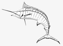 Merubah foto menjadi sketsa hitam putih belajar coreldraw. Gambar Wajah Hitam Putih Pahlawan Hd Png Download Transparent Png Image Pngitem