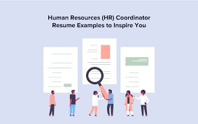 human resources (hr) coordinator resume