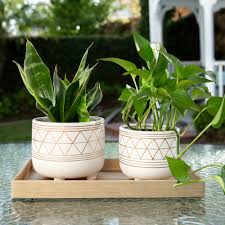 Check spelling or type a new query. Ceramic Planters You Ll Love In 2021 Wayfair