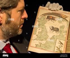 Haley fish hi-res stock photography and images