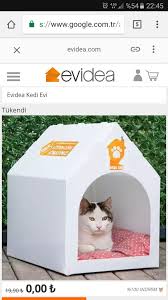 Nasil Ucuz Veya Ucretsiz Bir Sekilde Kedi Evi Temin Ederim Sorcev