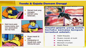 Dan pada masa yang sama anak lelaki saya yang sulung pun terkena juga. Denggi Nyamuk