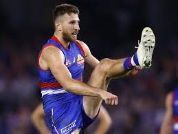 White animals sleeping french bulldog domestic dog wallpaper. Afl News 2021 Marcus Bontempelli Contract Extension Western Bulldogs Herald Sun