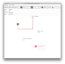 Pedigree Chart Designer Mac 1 0 Download