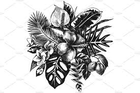 Black And White Plants Background Tropical Botanic Illustrations Illustration Ink Artwork Tropical Tattoo