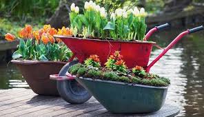 While decorating your garden, your mind must have tons of questions as to how you can make it look better. 5 Ways To Decorate Your Garden With Waste Material Lifeberrys Com
