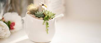 Ceramic bird vase ceramic art vase ceramics and pottery. White Ceramic Bird With Succulents Workshop Events West Coast Gardens