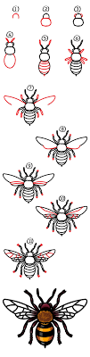 How To Draw A Realistic Bee Art For Kids Hub Bij Tekening Panda Tekening En Leer Tekenen